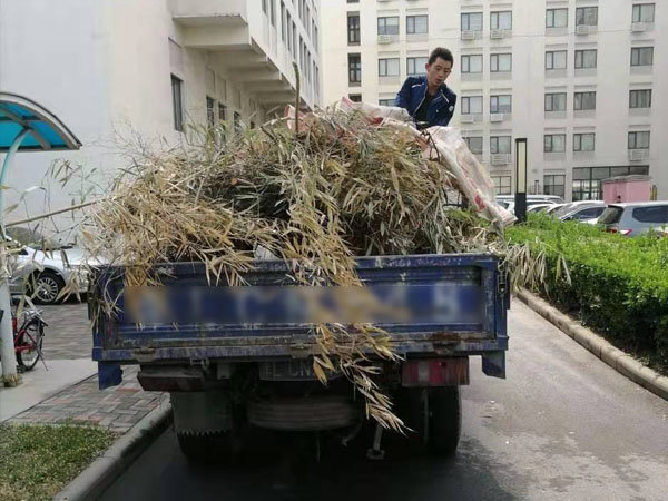樹枝樹葉清運